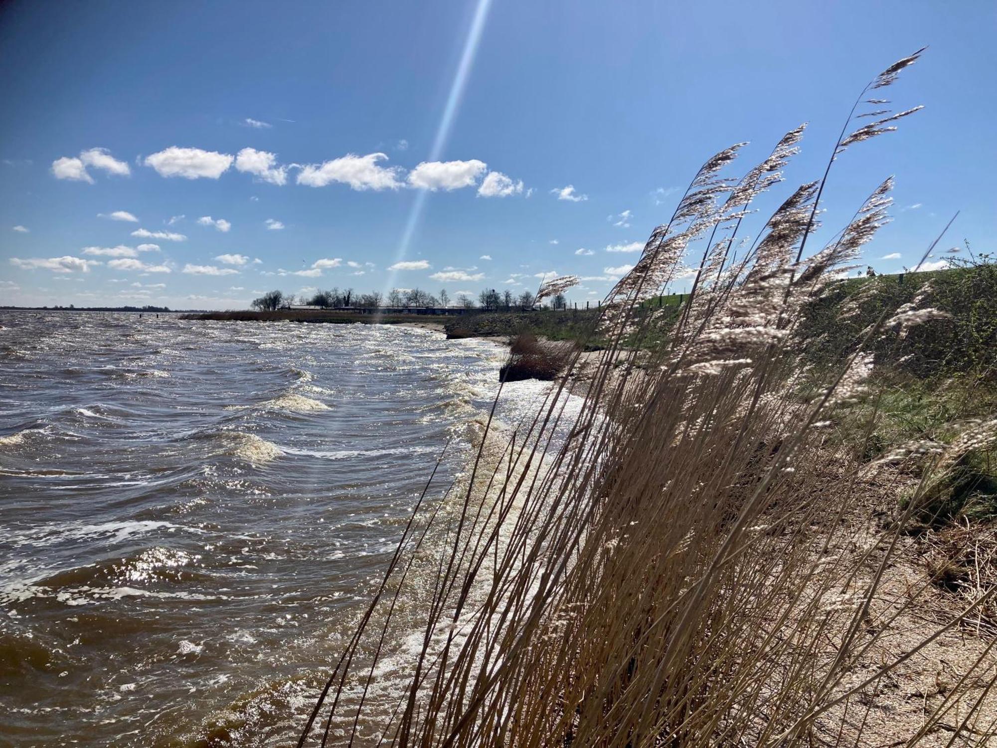 Haus Gaby Direkt Am Lauwersmeer Anjum Dış mekan fotoğraf